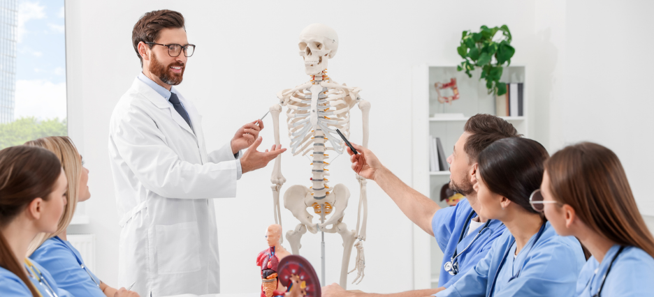 Ein Dozent für Pflegewissenschaften erklärt seinen Schülern die Biomechanik des menschlichen Körpers anhand eines Skelett-Modells. Ein Dozent für Pflegewissenschaften erklärt seinen Schülern die Biomechanik des menschlichen Körpers anhand eines Skelett-Modells.